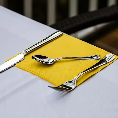 Baron Gautsch 3* Ровинь